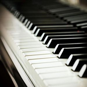 操鼻视频素材大全
